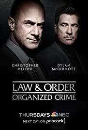 Law and Order: Organized Crime streaming - guardaserie