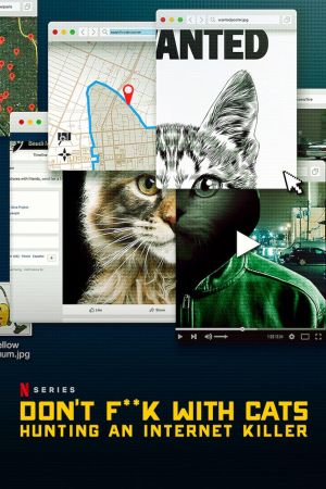 Giù le mani dai gatti: caccia a un killer online streaming - guardaserie